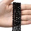 Natural Black Onyx  Beads Strands G-Z119-A04-01-2