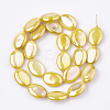 AB Color Freshwater Shell Beads Strands SHEL-S274-39D-2