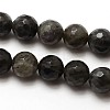 Natural Labradorite Round Bead Strands G-E251-32-8mm-2