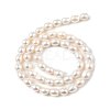 Natural Cultured Freshwater Pearl Beads Strands PEAR-I007-01D-02A-3