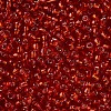 8/0 Glass Seed Beads X2-SEED-A005-3mm-25-2