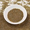 MIYUKI Delica Beads SEED-X0054-DB1738-2