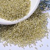 MIYUKI Delica Beads SEED-X0054-DB1212-1