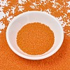 MIYUKI Delica Beads SEED-X0054-DB1583-2