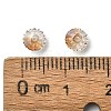 Preciosa&reg Crystal Beads X-PRC-BA5-00030-225-5
