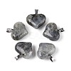 Natural Labradorite Pendants G-N361-01P-02-1