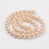 Shell Pearl Beads Strands BSHE-K011-10mm-VA066-2