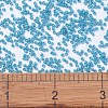 MIYUKI Delica Beads SEED-JP0008-DB2133-2