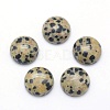 Natural Dalmatian Jasper Cabochons G-P393-R33-4MM-1