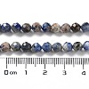 Natural Sodalite Beads Strands G-J400-E09-03-5