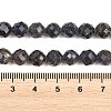 Natural Iolite Beads Strands G-RM250101-E7-3