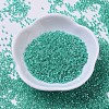 MIYUKI Delica Beads X-SEED-J020-DB0238-2