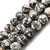 Synthetic Turquoise Beads Strands G-F791-D01-01B-2