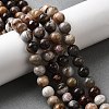 Natural Mexico Crazy Agate Beads Strands X-G-L615-A01-01-2