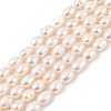 Natural Cultured Freshwater Pearl Beads Strands PEAR-I007-01B-05B-2