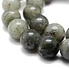 Natural Labradorite Bead Strands G-P256-01-8mm-3