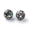 Natural Paua Shell Beads SSHEL-Q298-16mm-09-2