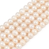 Natural Cultured Freshwater Pearl Beads Strands PEAR-I007-07J-06B-2