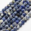 Natural Sodalite Beads Strands G-J364-01-6mm-1