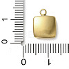 304 Stainless Steel Acrylic Pendants LS-STAS-M091-02D-G-3