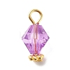 Transparent Acrylic Pendants PALLOY-JF01834-04-2