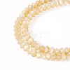 1 Strand Natural Trochus Shell Rondelle Beads Strands SSHEL-TA0001-16B-2
