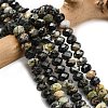 Natural African Turquoise(Jasper) Beads Strands G-Z111-A13-01-1