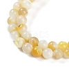 Natural Trochus Shell Beads Strands BSHE-H109-12B-4