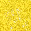 Baking Paint Glass Seed Beads SEED-S042-05B-81-3