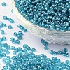 (Repacking Service Available) Glass Seed Beads SEED-C015-3mm-103-1
