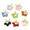 Spray Painted Alloy Pendant PALLOY-H128-04G-1