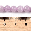 Natural Kunzite Beads Strands G-D856-03-6mm-01-5