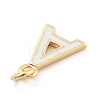 Rack Plating Brass Pendants KK-C065-05A-G-2