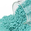 TOHO 11/0 Round Beads X-SEED-TR11-0055-1