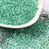 Transparent Glass Round Seed Beads X1-SEED-B001-05A-11-1