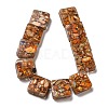 Dyed Natural Imperial Jasper with Resin Beads Strands G-G083-C04-01-2