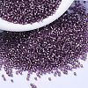 MIYUKI Delica Beads SEED-J020-DB2169-1
