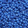 TOHO 6/0 Round Beads SEED-XTR06-0043D-4