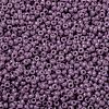 MIYUKI Round Rocailles Beads SEED-X0056-RR4489-3