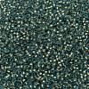 TOHO Round Seed Beads SEED-JPTR11-0995FM-2