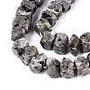 Natural Syenite Beads Strands G-D091-A32-3