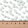 Opaque Baking Paint Glass Seed Beads SEED-T008-02M-5