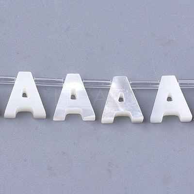 Sea Shell Beads X-SHEL-T012-60A-1