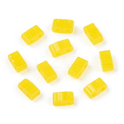 2-Hole Glass Seed Beads SEED-T003-01B-13-1