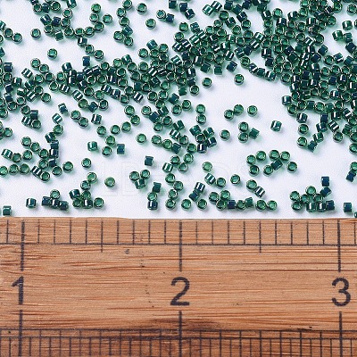 MIYUKI Delica Beads X-SEED-J020-DB0275-1