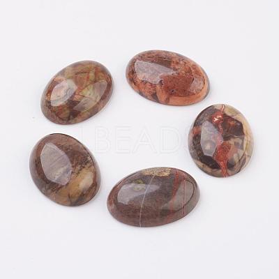 Natural Multi-Color Agate Flat Back Cabochons G-G741-22x30mm-08-1