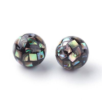 Natural Paua Shell Beads SSHEL-Q298-16mm-09-1