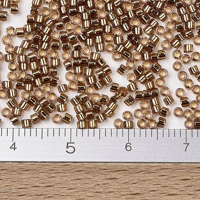 MIYUKI Delica Beads X-SEED-J020-DB2524-1
