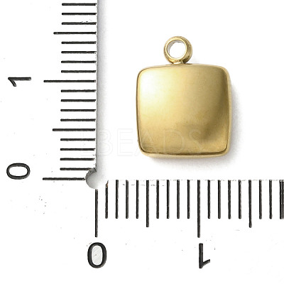 304 Stainless Steel Acrylic Pendants LS-STAS-M091-02D-G-1