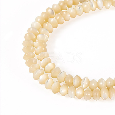 1 Strand Natural Trochus Shell Rondelle Beads Strands SSHEL-TA0001-16B-1